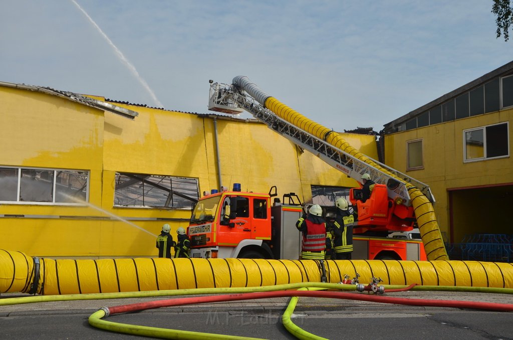 Grossfeuer Poco Lager Koeln Porz Gremberghoven Hansestr P813.jpg - Miklos Laubert